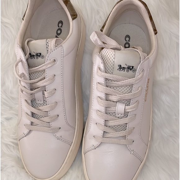 Clip Low Top Sneaker